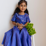 Chanderi Lehenga Set | Embroidered Dancing with Dragonflies (Amethyst)