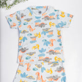Dino Co-ord set